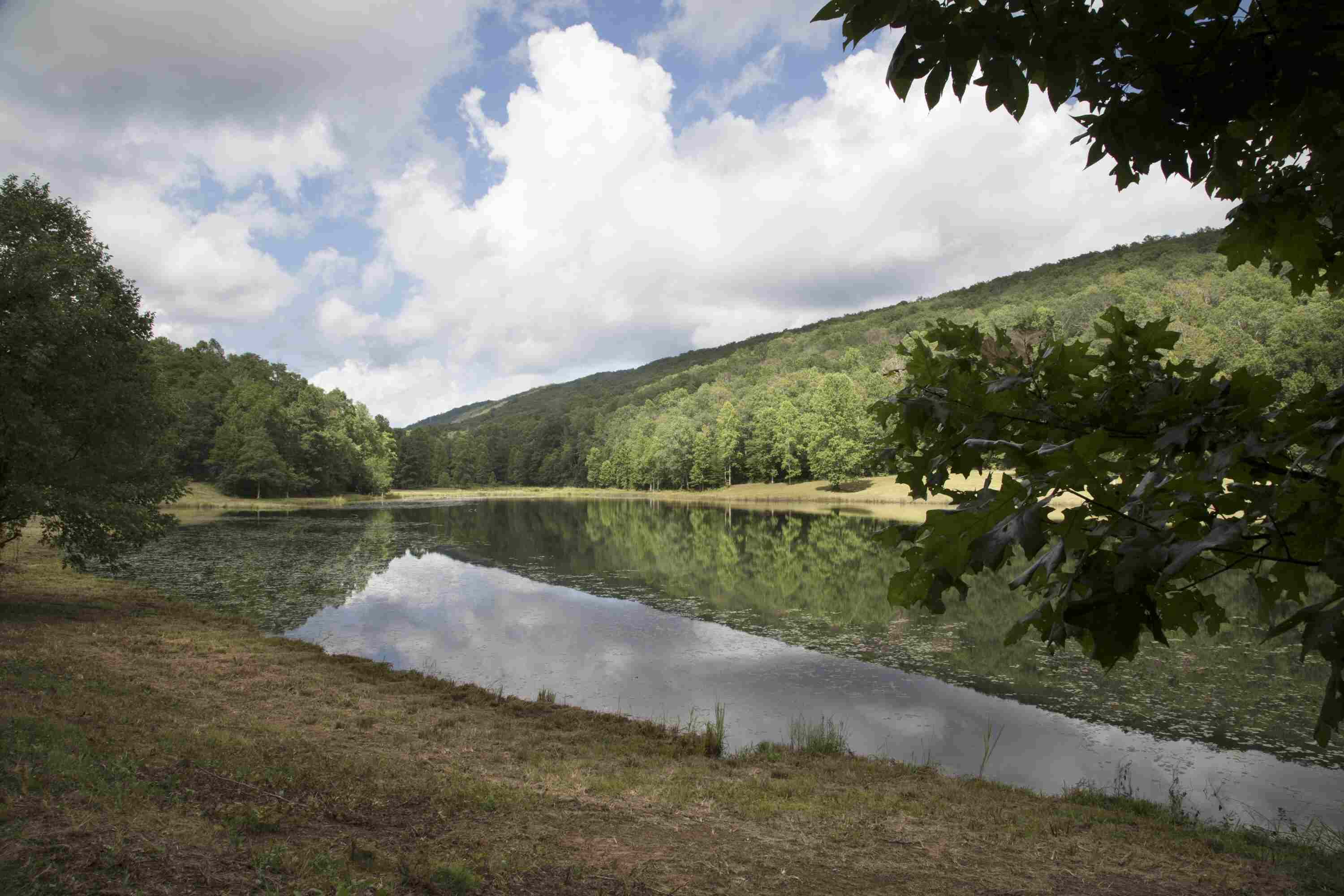 A view of the 10 ac lake looking northwest