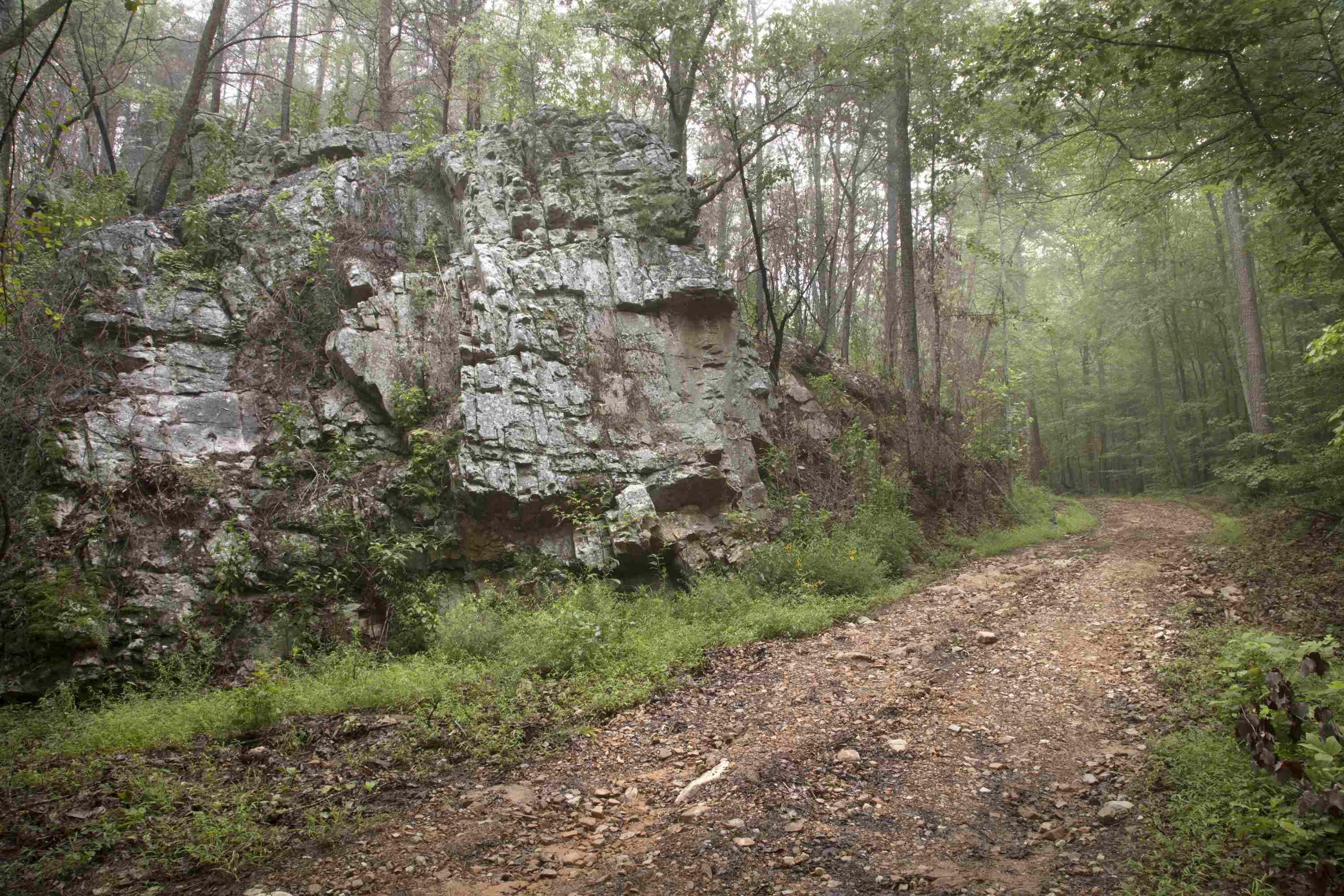 A rock outcrop along side the entrance road