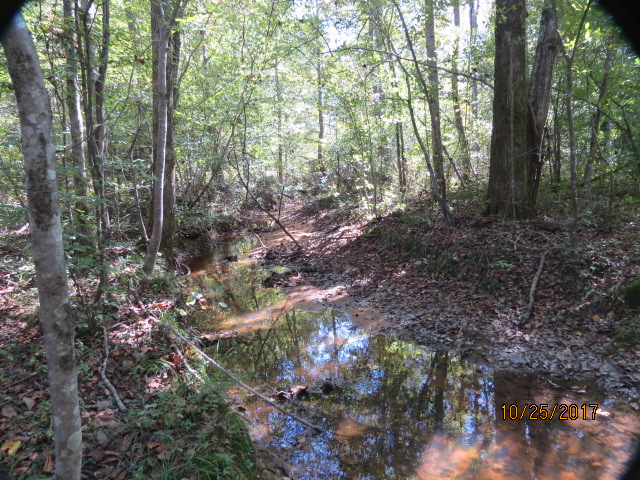The property fronts on this creek for about 1 mile