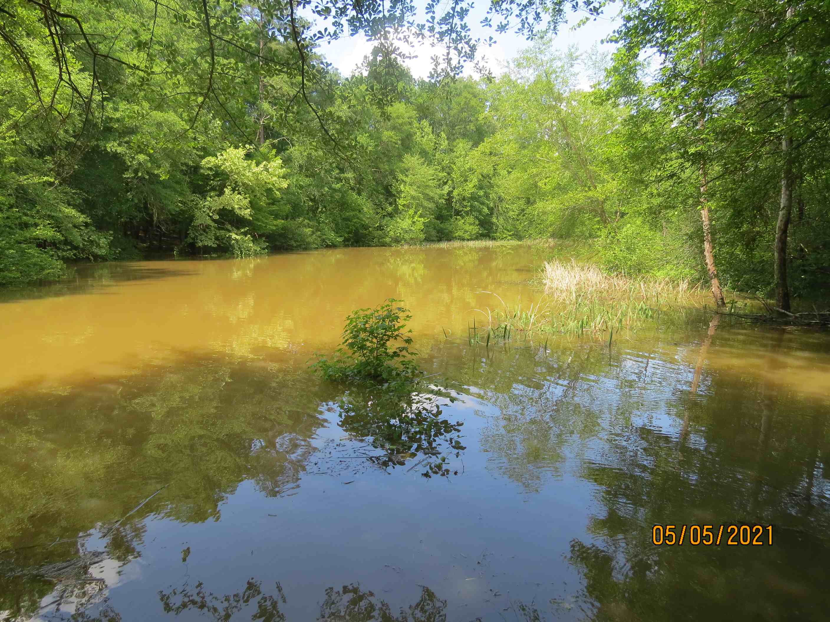 This 3-acre pond is an inlet from the Coosa River and the property surrounds it