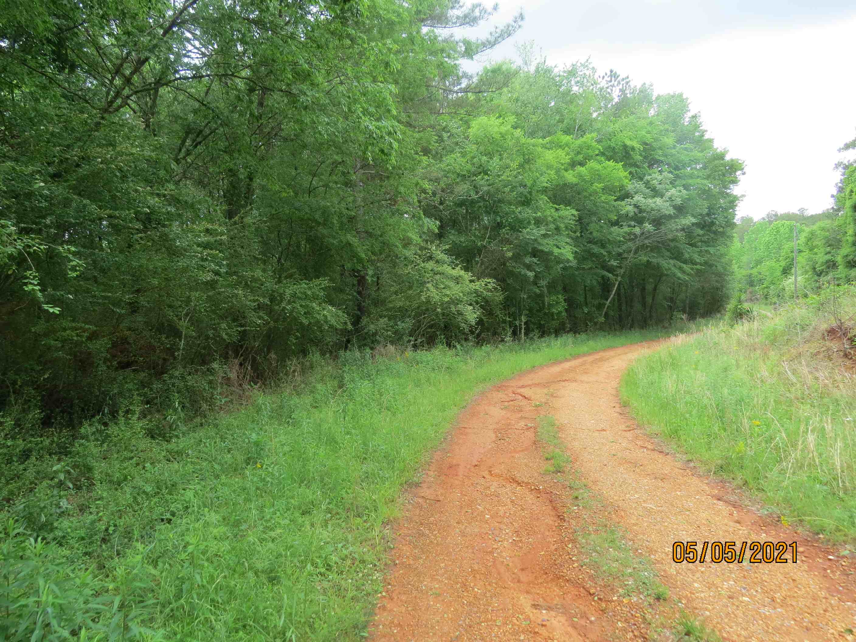 The property has about 4,000 feet on this unpaved county road