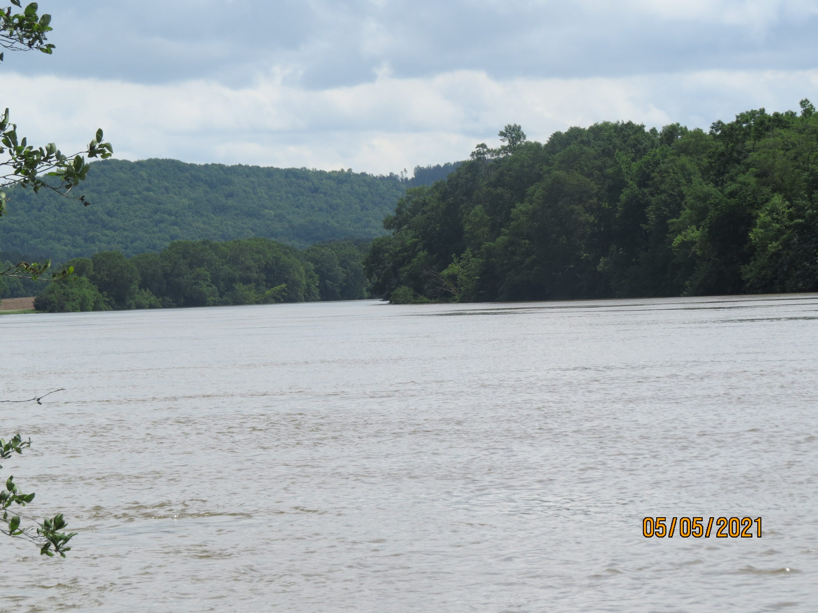 View from the rivers edge.  Looking south down the Coosa  River