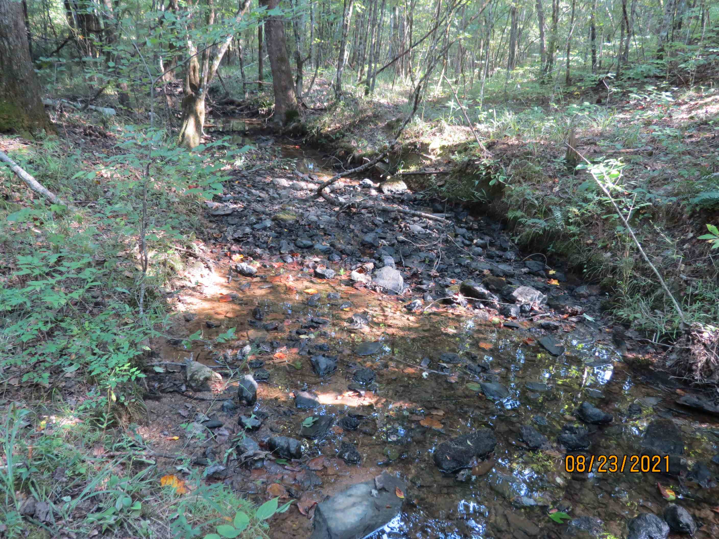One of several un-named creeks that cross the property