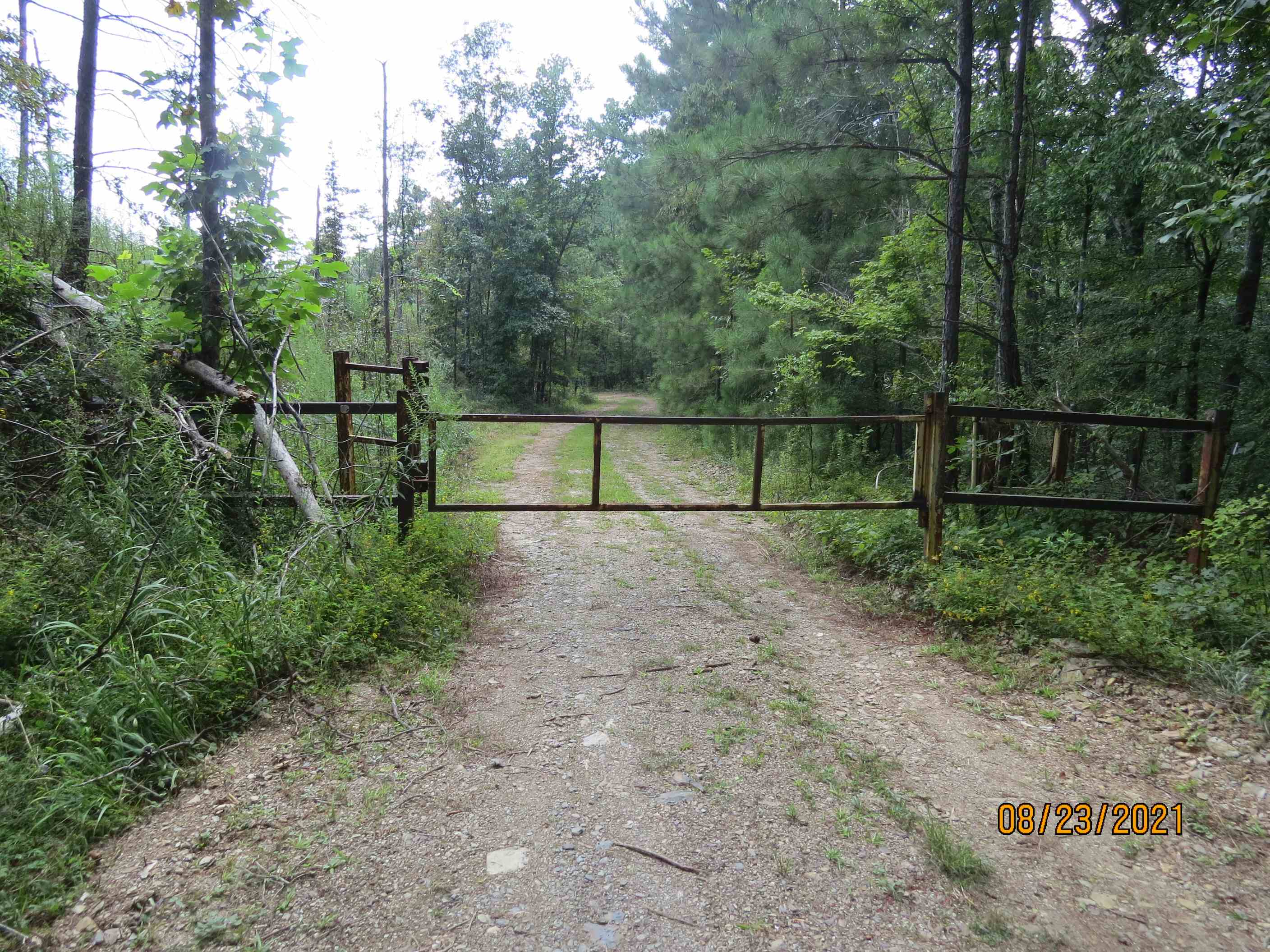 The gate at the property line