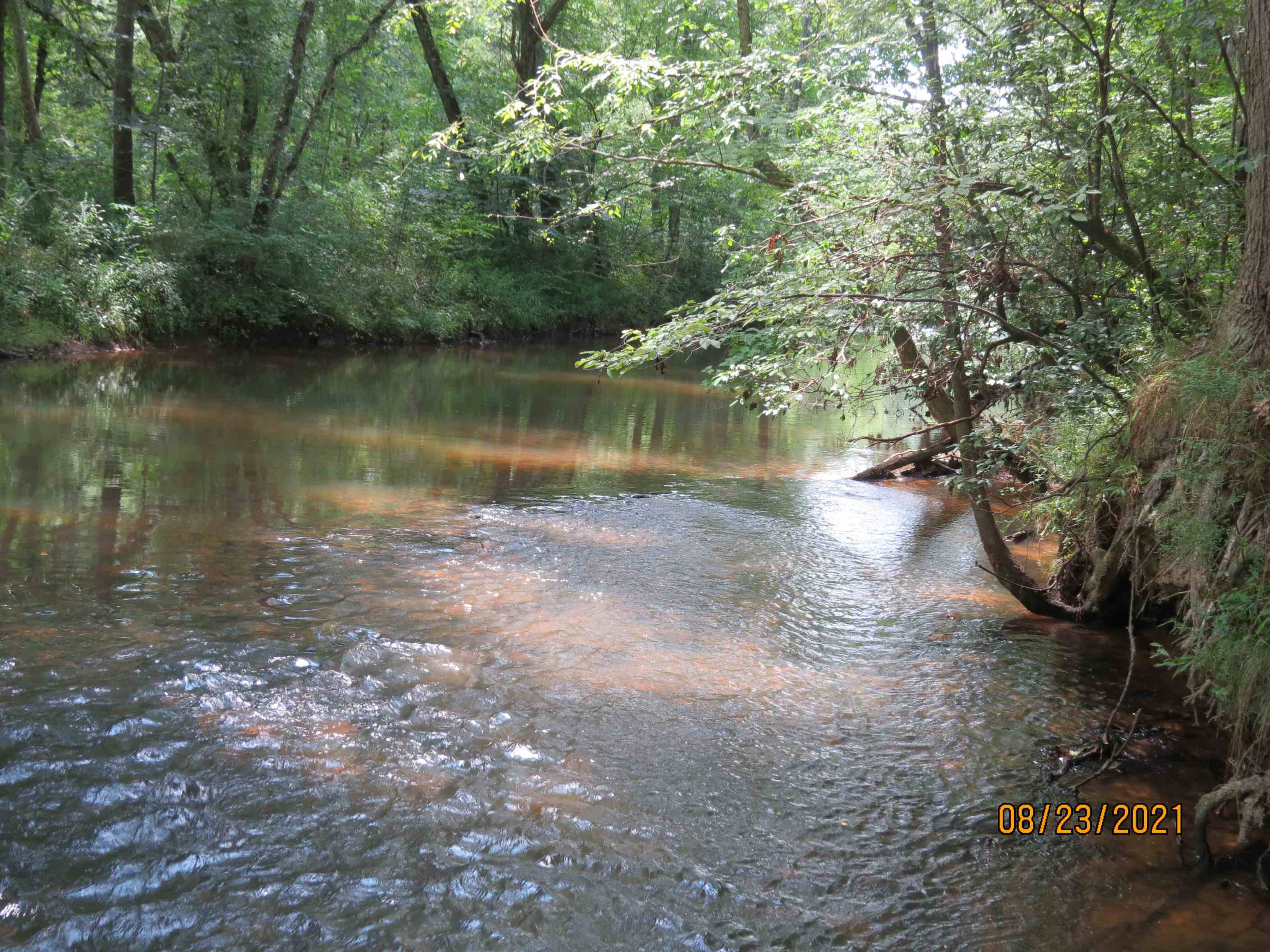 The property fronts for about 400 feet on Yellow Leaf Creek about 3 miles from where it flows into the Coosa River