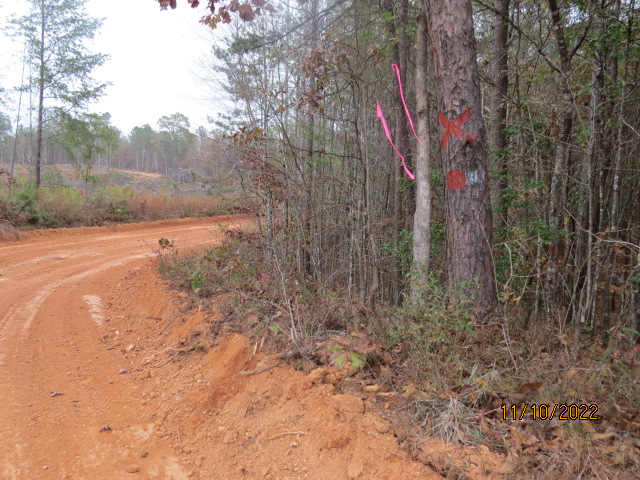 The county road touches the property for about 50 feet at the NW corner.