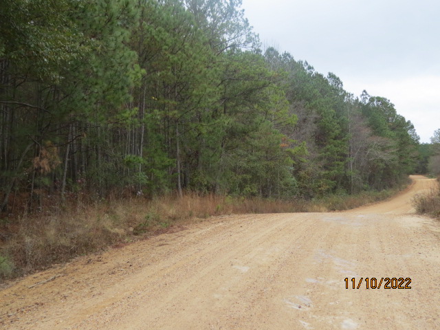 Frontage on Co Rd  251 (property on the left)