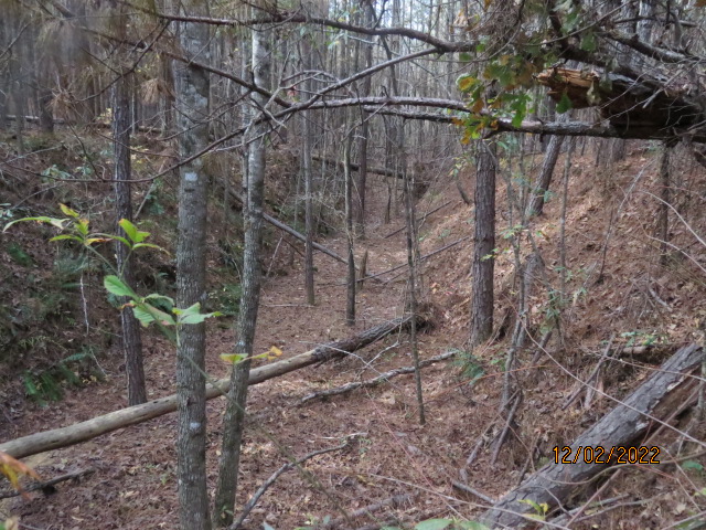 An old rail road bed that crosses the property