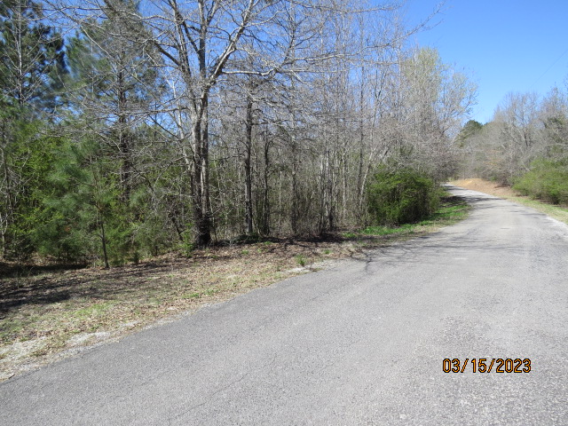 The property has about 1,000 feet on this road (Sandcut Rd)