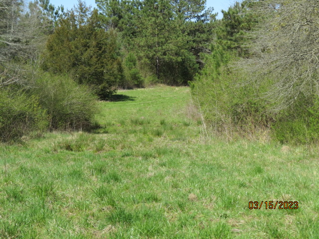 A long, thin food plot with a shooting house on one end