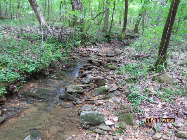 A small creek that flows from the mountain down to Terrapin Creek