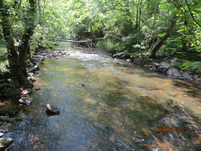 The property fronts for 1/4 mile on this creek (Walnut Creek)