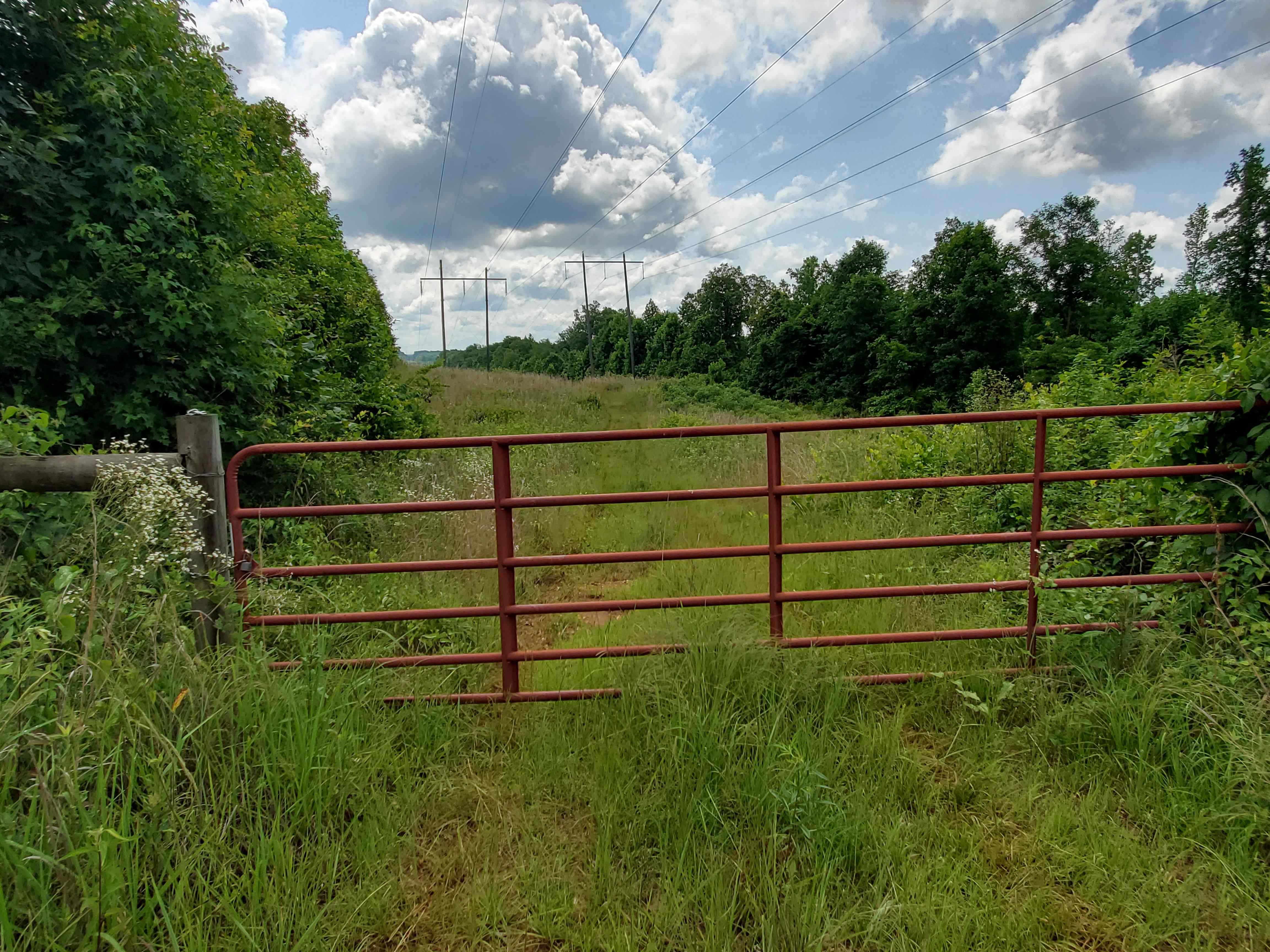 Gate leading to powerline road