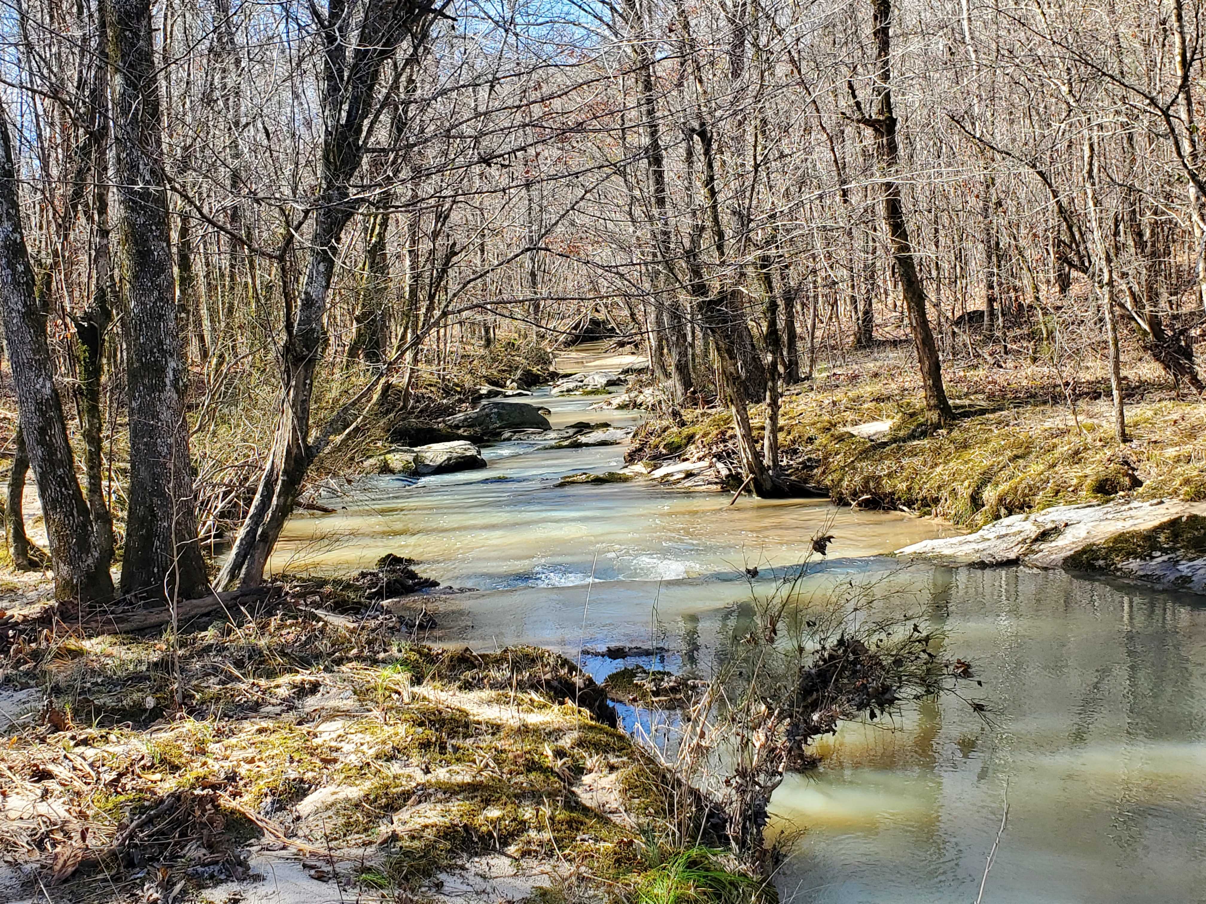 Beautiful rocky Hamilton Branch Creek