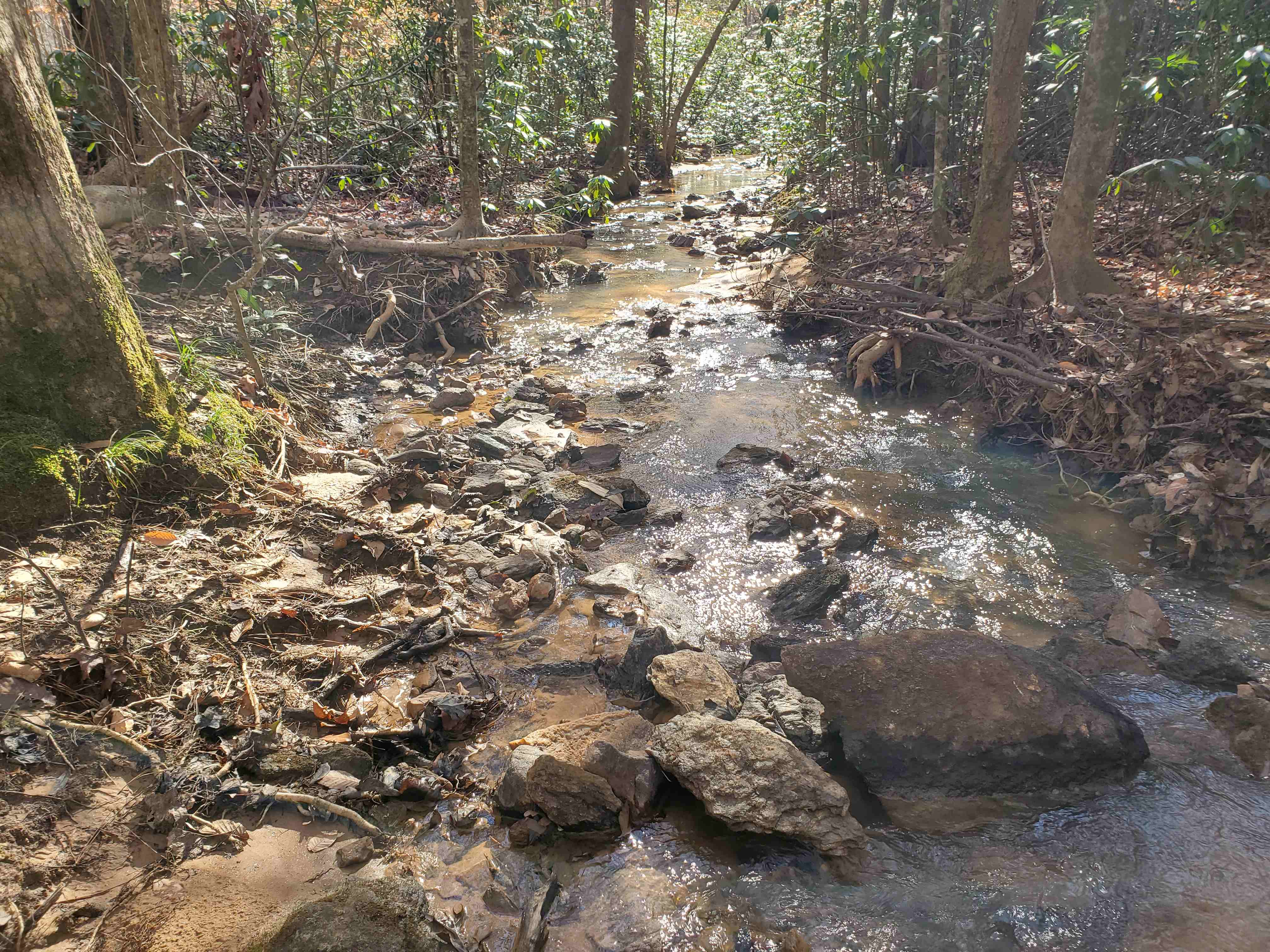 This rocky stream runs from east to west and is a possible location for a pond