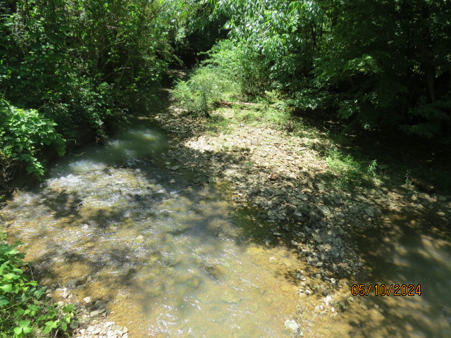 Another view of Boyd Creek