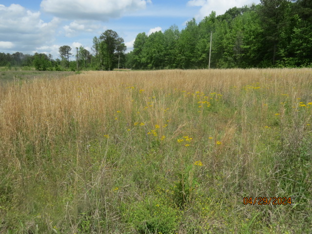 A 3 acre field on the property