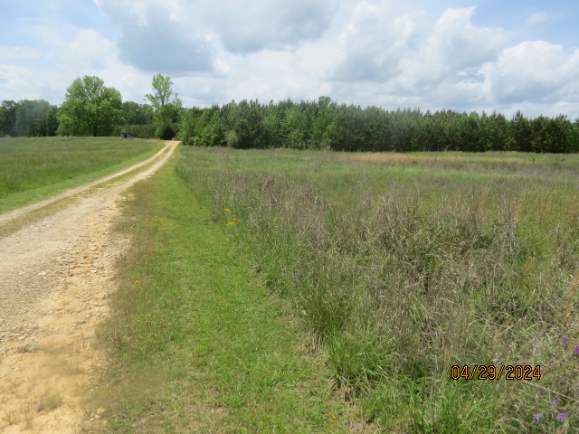 Another view of the un-named public dirt road
