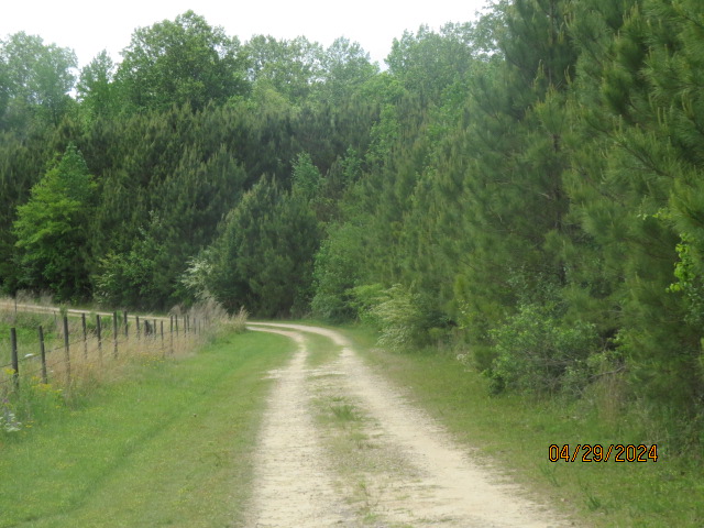 About 2,000 of frontage on this un-named dirt public county road