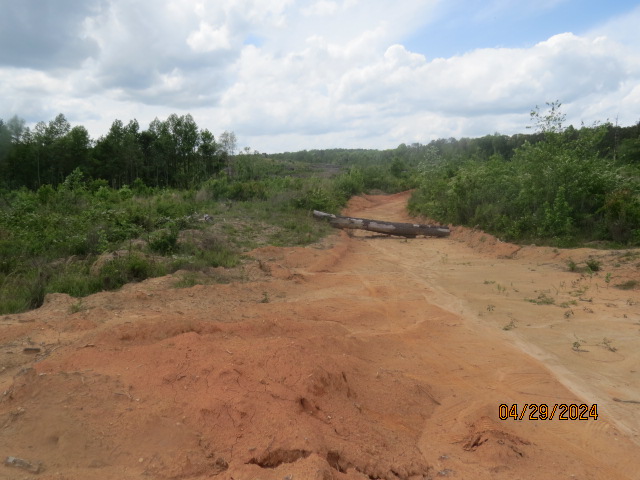 Another view of the clear cut area