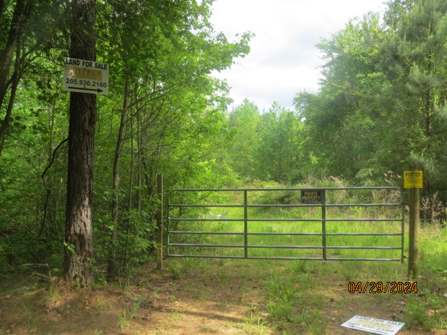 Gate at the end of Brooks Rd