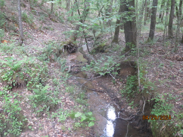 Another small branch that flows into Ingram Branch