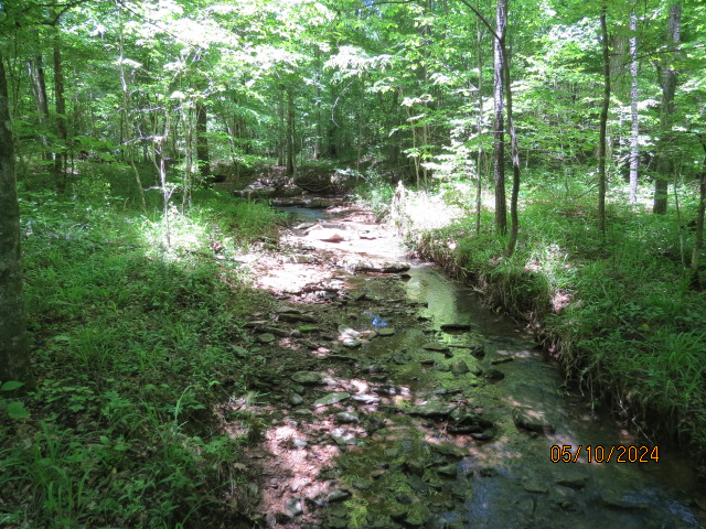 Anothe view of the creek