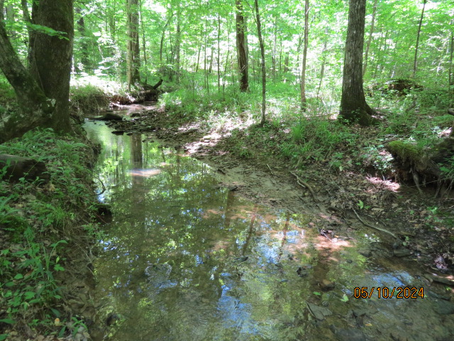 Another view of the creek