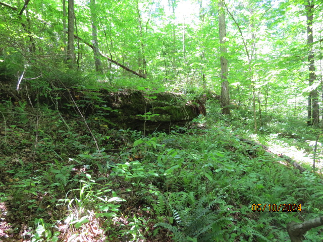 A rock outcroop south of the creek