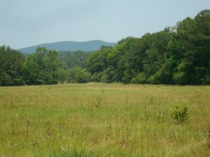 Rural land in Alabama 