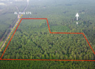 QUALITY TIMBERLAND, LEVEL, GOOD SOILS, HWY FRONTAGE