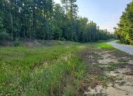 Beautiful Wooded Lot – just south of Auburn City Limits